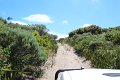 Walpole Banksia Bay